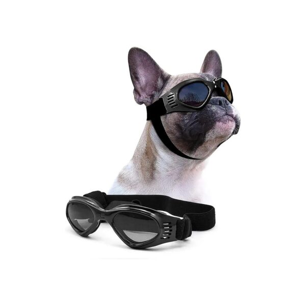 Petleso Dog Goggles Medium Breed for Medium Weight Eye Protection