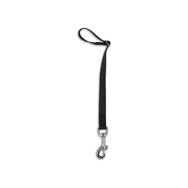 Petmate Inspired Seat Belt Tether for Small to Medium Dogs with Black Nylon Construction