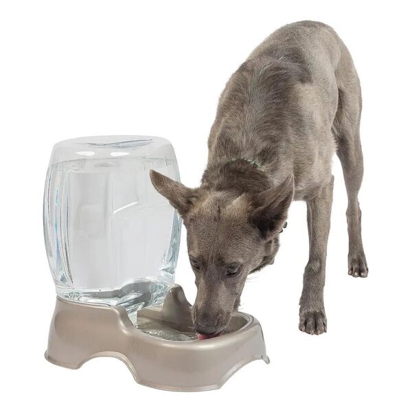 Petmate Pet Cafe Waterer for Cats and Dogs with Spill-Free Design and Easy Cleaning