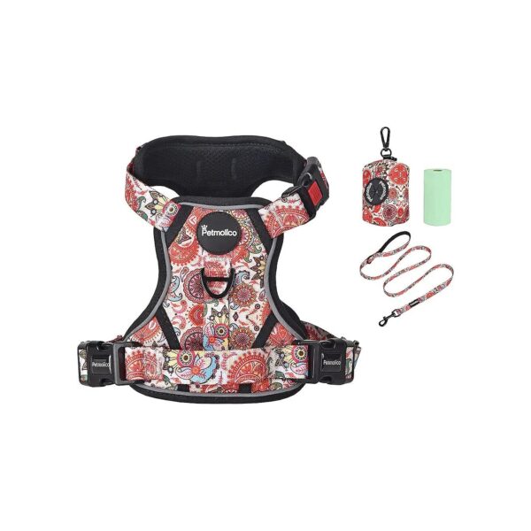 Petmolico Dog Harness Set with Adjustable Vest, Leash, and Poop Bag Holder