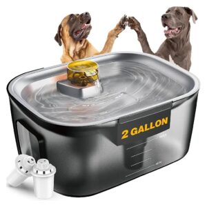 Pets with Stainless Steel Water Bowl and 7 Layer Filtration