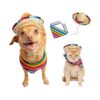 Piece Mexican-Inspired Dog and Cat Costume Set with Sombrero and Bandana