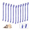 Piece Pet Toothbrush Set Soft Bristle Double-Headed Long Handle Pet Teeth Cleaning Kit