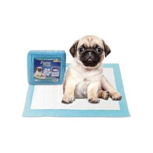 Piece Puppy Training Pads with Multi-Layer Absorbent Design, Blue