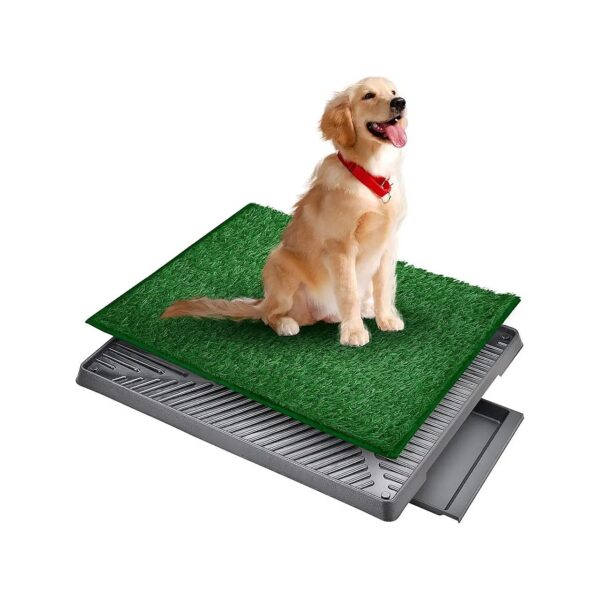 Piece System Dog Grass Pad with Tray for Efficient Potty Training, Odor-Free Guarantee