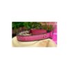 Pink 17 Inch Wide Keeper Collar with Hidden Prong and Snap Closure for Dogs