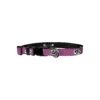 Pink Carbon Fiber Patterned Adjustable University of Iowa Hawkeyes Dog Collar