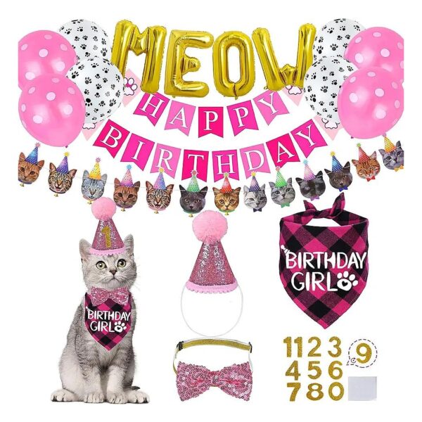 Pink Cat Birthday Party Supplies Pack with Hat Collar and Banner