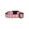 Pink Crush Dog Collar Nylolmatic Nylon Brass Hardware 1 Inch Wide