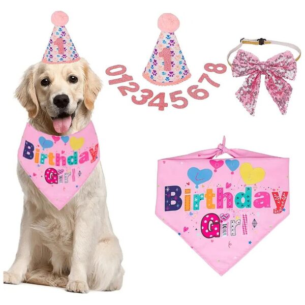 Pink Dog Birthday Party Supplies Hat with Numbers Scarf and Bow Tie XLarge for Dogs