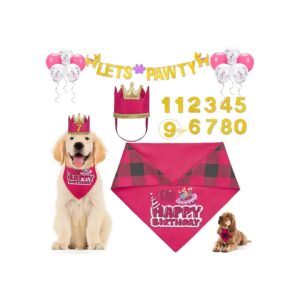 Pink Dog Birthday Party Supplies Set Bandana Crown Hat and Birthday Balloons and Banner