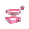 Pink Dog Collar with Bling Bling Design and Adjustable Buckle for Small Pets