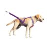 Pink Dog Weight Pulling Harness with Chest and Back Support for Fitness and Exercise