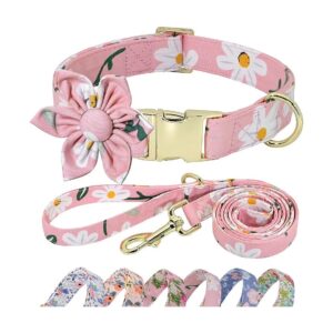 Pink Floral Dog Collar and 5FT Leash Set for Small Medium Large Female Dogs