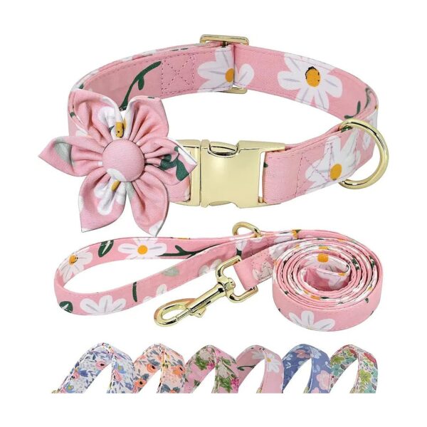 Pink Floral Dog Collar and 5FT Leash Set for Small Medium Large Female Dogs