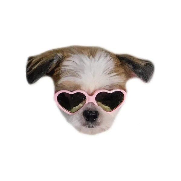 Pink Heart Sunglasses for Small Breed Dogs Fit Up to 15lbs