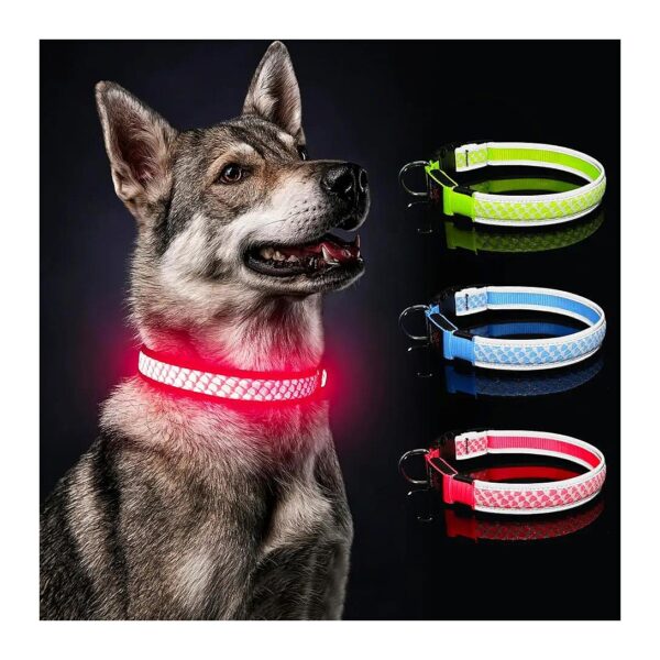 Pink LED Dog Collar for Small Dogs with Reflective Edging and USB Rechargeable