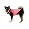 Pink Ombre Graphic Dog Coat for Medium Dogs with Comfortable Fit