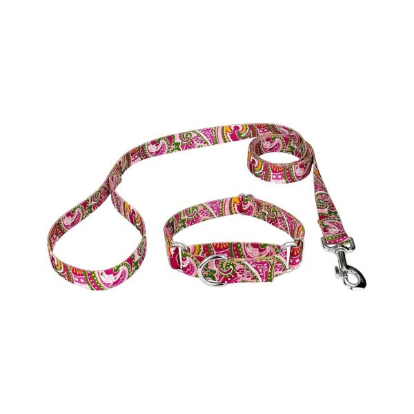 Pink Paisley Leather-look Martingale Collar and Leash Combination for Large Pets