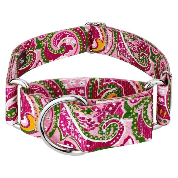 Pink Paisley Slip-On Dog Collar with 6 Classy Designs and 100% Polyester Material