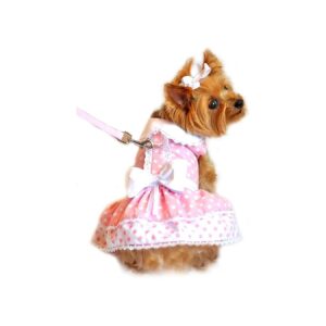 Pink Polka Dot Lace Dog Dress with Multi-Layered Underskirt and Matching Leash