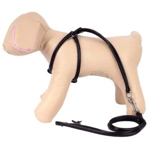 Pink Rolled Leather Small Dog Harness with 4ft Leather Lead for Walking