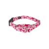 Pink Sharks Print Dog Collar with Deluxe Buckle Closure and Adjustable 1 Inch Neck