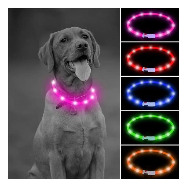 Pink Silicone LED Dog Collar with USB Rechargeable Glow Modes for Safety Night Walking