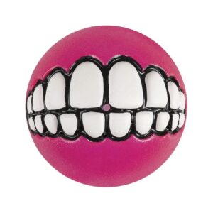 Pink Small Dog Interactive Ball for Treat Dispensing and Fun