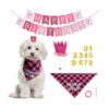 Pink and Black Buffalo Plaid Dog Birthday Party Supplies for Girls and Cats