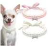 Pink and White Pearl Collar Necklace with Rhinestone Bone for Cats and Small Dogs Gift