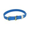 Plastic Dog Collar Adjustable Wide Sky Blue for Adolescents