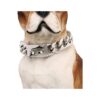 Plated Dog Collar with Strong Snap Buckle and 19MM Link for Medium Dogs