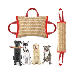 Playful and Functional Dog Pillow with Strong Handles for Tug of War and Training