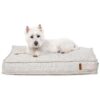 Plush Small Lounger Dog Bed with Removable Cover and Recycled Fill