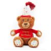 Plush Squeaky Birthday Teddy Bear with Embroidered Message for Dogs