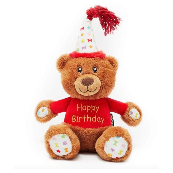 Plush Squeaky Birthday Teddy Bear with Embroidered Message for Dogs