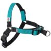 Point Adjustable Dog Harness for Medium to Large Dogs with Turquoise Color