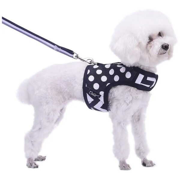 Polka Black Small Dog Harness and Leash Set for Winter with Adjustable Soft Padded Vest