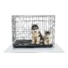 Polycarbonate Floor Protection Mat for Small to Medium Dog Crates