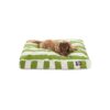 Polyester Dog Bed for Medium Breed Dogs Crate Bed with Washable Comfy Sage Green Cover