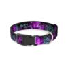 Polyester Dog Collar Harley Quinn Pow Aiming Poses Joker Black Turquoise Fuchsia