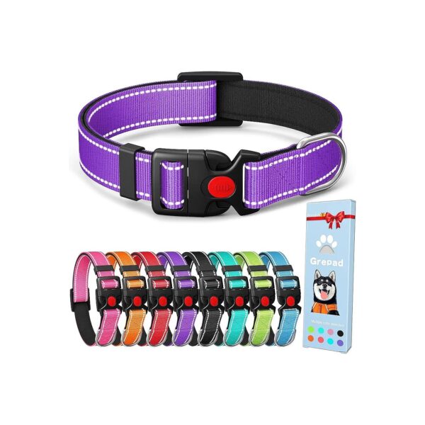 Polyester Dog Collar for Small to Medium Breed Puppies