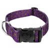 Polyester Dog Collar with Paisley Pattern and Heavy-Duty Triglide for Easy Adjustment