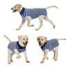 Polyester Fabric Recovery Suit for Small Medium Large Dogs Cats with Abdominal Wounds