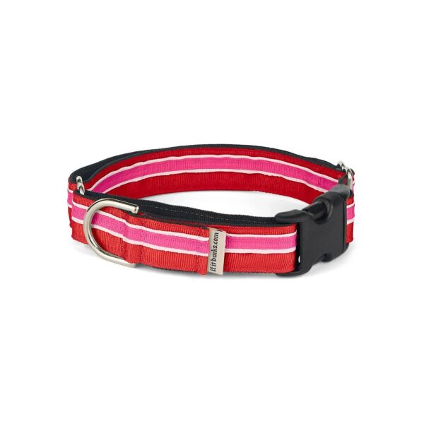 Polyester Webbing Martingale Collar with Quick Snap Release Buckle and Adjustable Closure