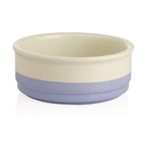 Porcelain Ceramic Dog Food Bowl for Small Dogs and Cats, 17 Fl Oz, Purple