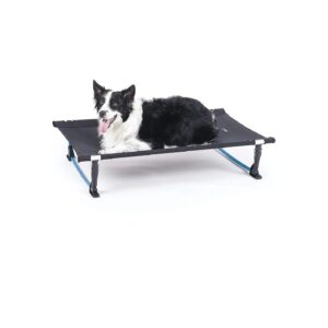 Portable Elevated Dog Bed for Travel or Camping Large Size