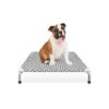 Portable Elevated Dog Bed with Cotton Material and Non-Slip Feet for Dogs up to 70 Pounds