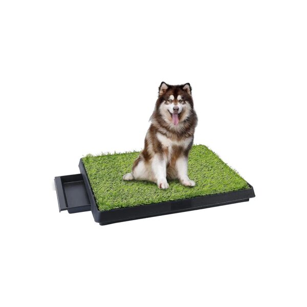 Portable Grass Pee Pad for Small and Medium Breed Dogs with Odor-Free Design